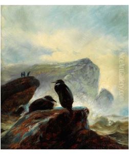 Kustenlandschaft Mit Kormoranenbei Skagen