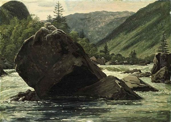 A Jutting Rock In The Rapids (fos Med Fremragende Klippestykke) - view 1