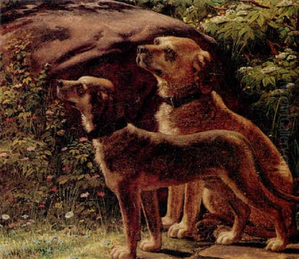 Portraetter Af To Hunde - view 1