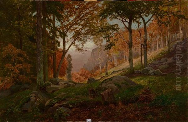Rochers En Foret - view 1
