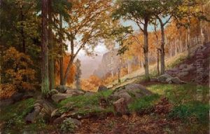 Paisaje Paisaje