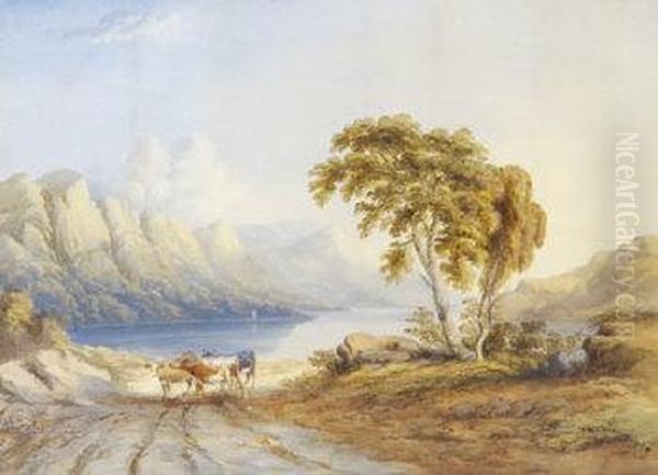 Cattle In Landscape, Cumberland - view 1