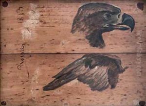 Cabeza Y Ala De Aguila