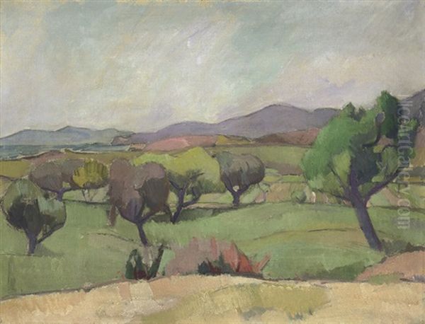 Landschaft Mit Olivenbaumen - view 1