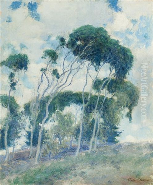 Study For "windswept Trees, Laguna" - view 1