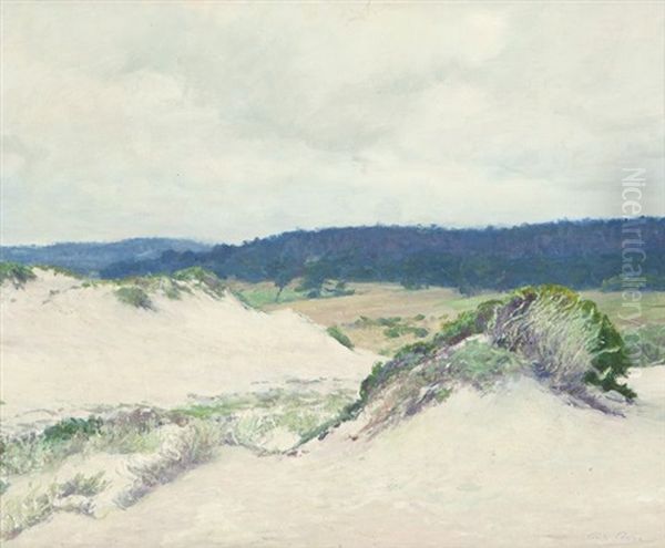 Sand Dunes - view 1