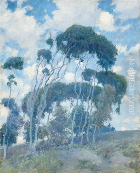 Windswept Trees, Laguna, Eucalyptus Trees - view 1