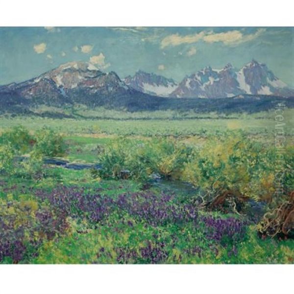 Owens River, Sierra Nevada, California - view 1