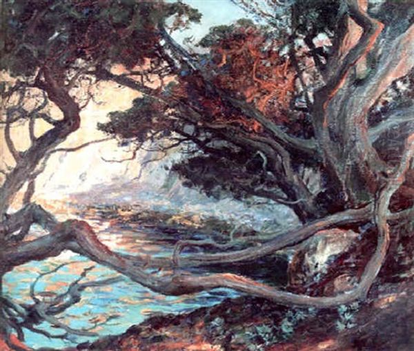 On Point Lobos - view 1
