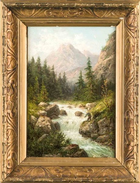 Angler Am Wildbach In Alpiner Landschaft - view 1