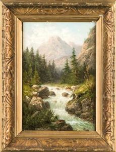 Angler Am Wildbach In Alpiner Landschaft