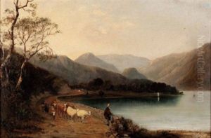 Seelandschaft