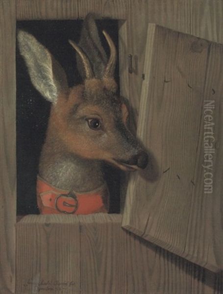 A Deer Looking Out Of A Stable Stall, In A Red Collar - view 1