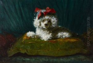 Poodle