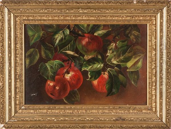 Still Life Of Apples - view 1