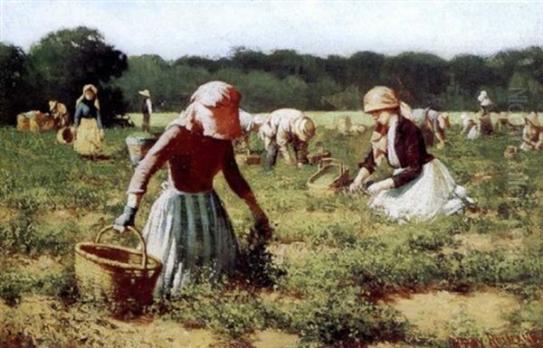 In The Pea Field - view 1