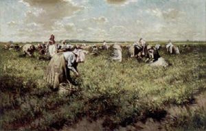 Harvest Time Harvest Time
