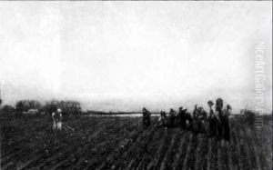 Toilers In The Field Toilers In The Field