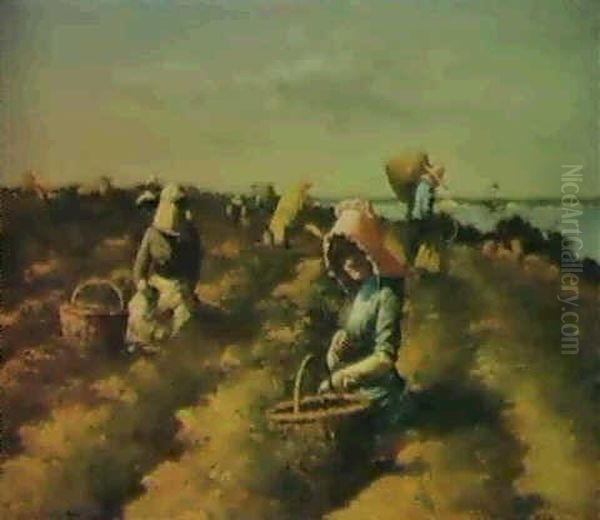 The Harvest - view 1