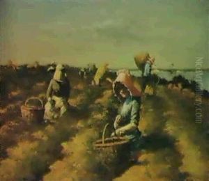 The Harvest The Harvest