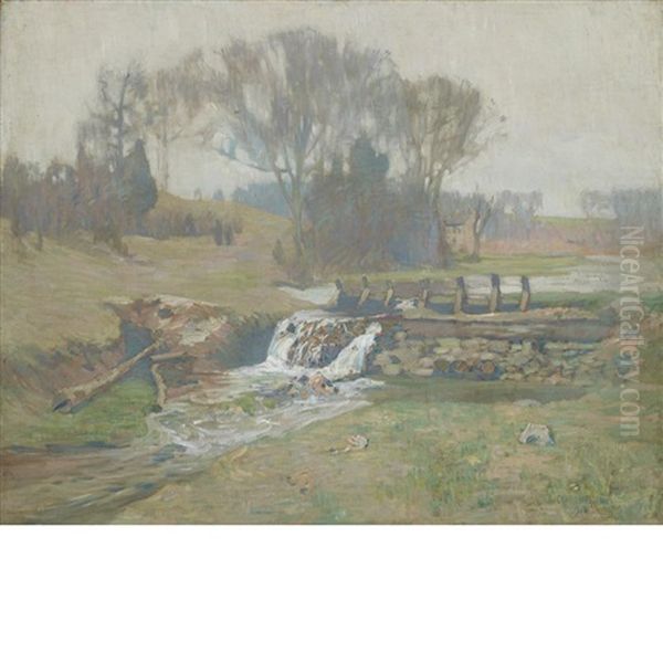 Misty Spring - view 1