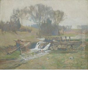 Misty Spring