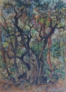 Forest Scene