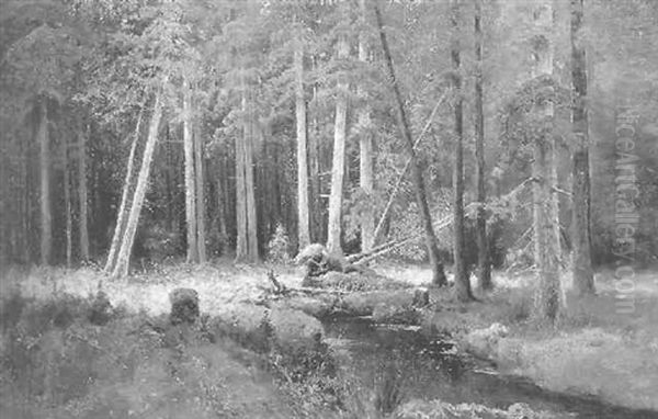 Waldinneres - view 1