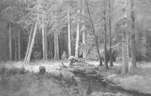 Waldinneres by Gerhard Paul Baron von Rosen