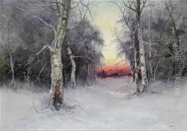 Forest Scene. Sunset - view 1