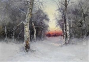 Forest Scene. Sunset Forest Scene. Sunset