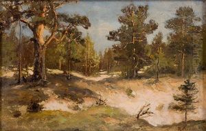Forest Landscape Forest Landscape