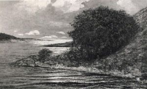 Solbelyst Havsvik
