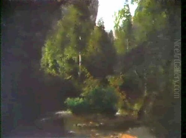 Back I Kolmarden - view 1