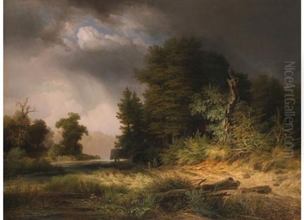 Waldlandschaft Nach Dem Gewitter - view 1