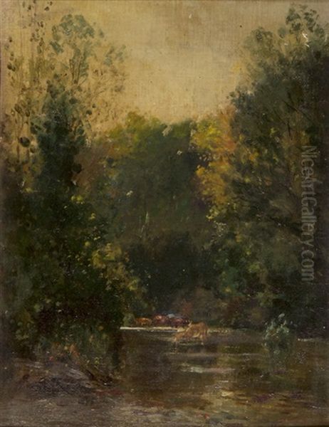 Baumreiche Flusslandschaft Mit Kuhen Bei Der Tranke - view 1