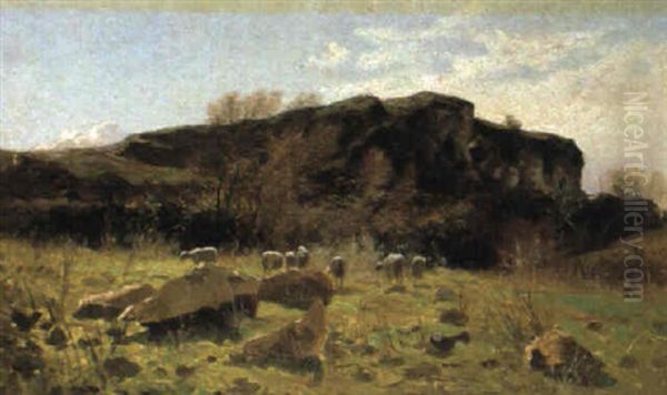Pecore Al Pascolo - view 1