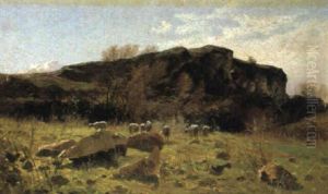 Pecore Al Pascolo by Federico Rossano