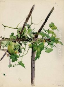 Spalier Mit Bluhendem Melonenkraut by Konrad Bose