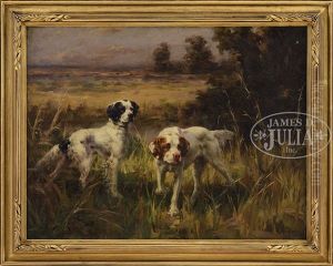 Two English Spaniels In Autumn Landscape Two English Spaniels In Autumn Landscape