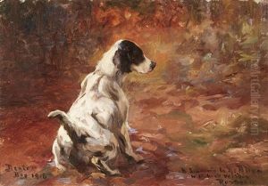 Setter In A Landscape Setter In A Landscape