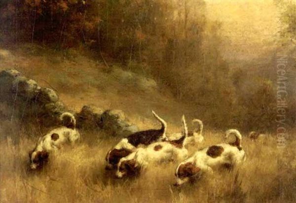 Six Sporting Dogs On The Scent - view 1