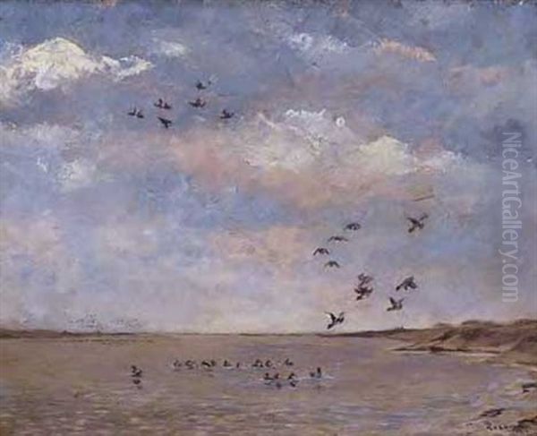 Ducks In Fight - view 1