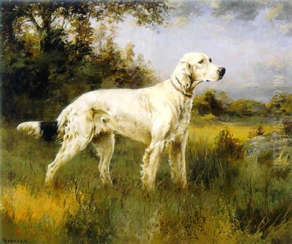 English Setter - view 1