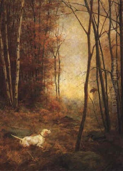 Pointer On The Scent - view 1