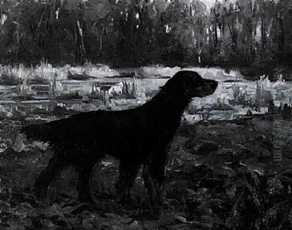 Setter Gordon - view 1