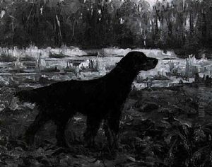 Setter Gordon Setter Gordon