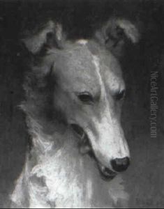 Head Of A Borzoi, Russian Wolf-hound