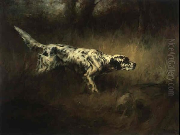 English Setter - view 1