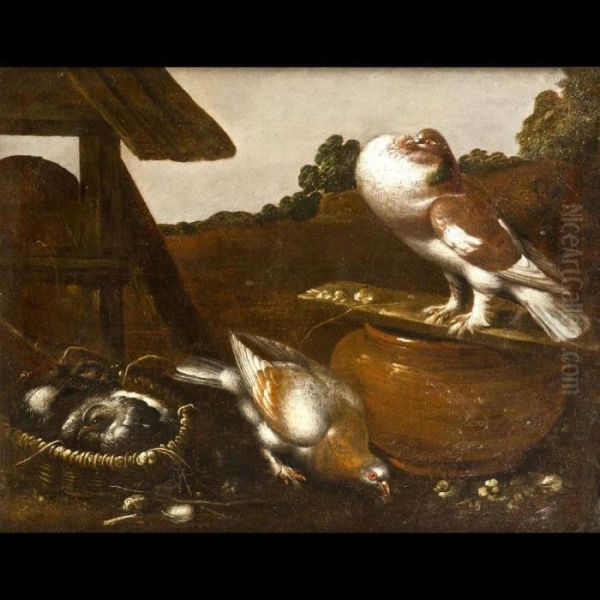Piccioni - view 1